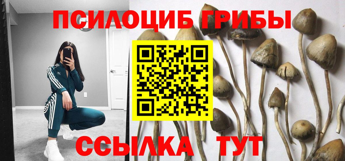 Аргун  Галлюциногенные грибы ЛСД  Вход с VPN 
